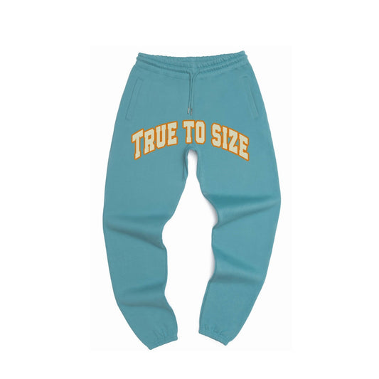 True to Size Skywalker Sweatpants